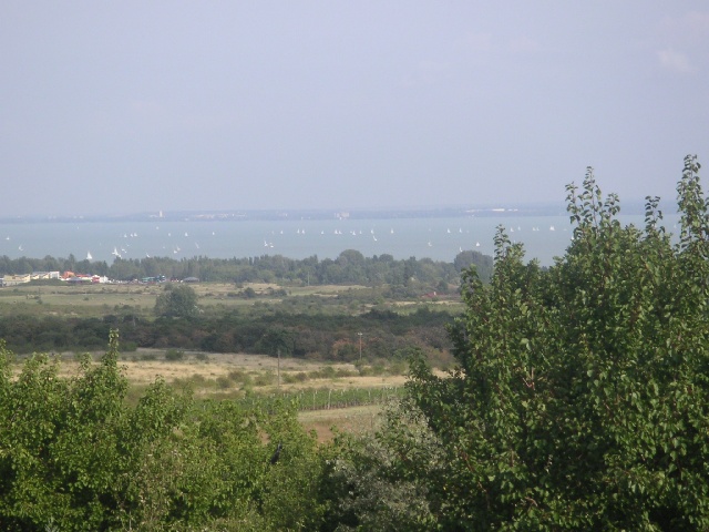 pict2531.jpg
